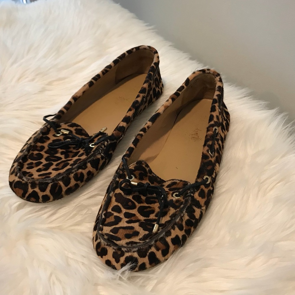 Leopard Talbot Flats